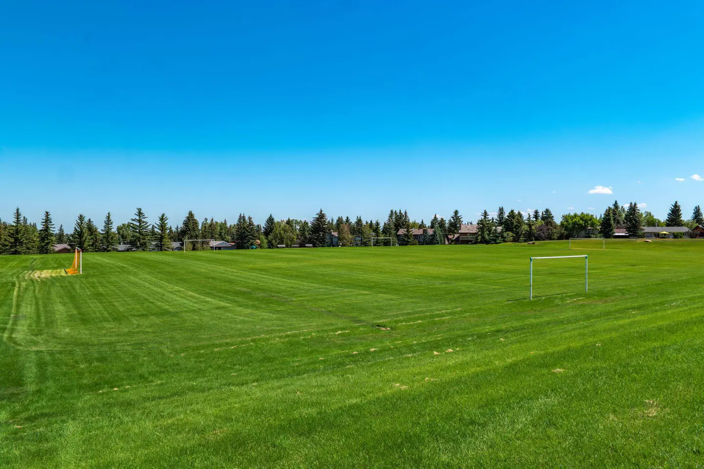 Oakridge community view 3